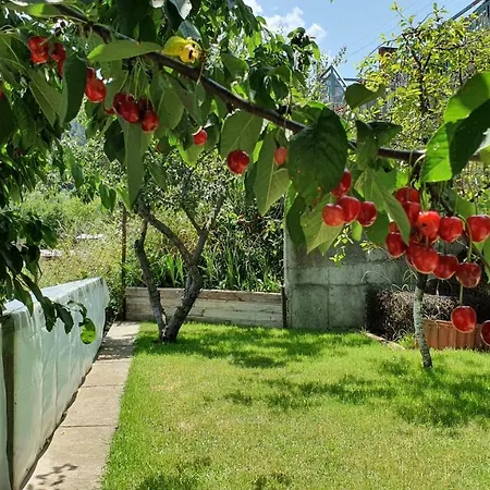 солакови ** Vendégház