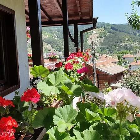 Vendégház солакови **