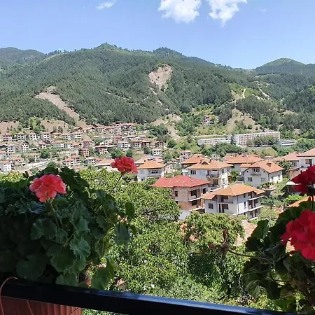 солакови ** 4*