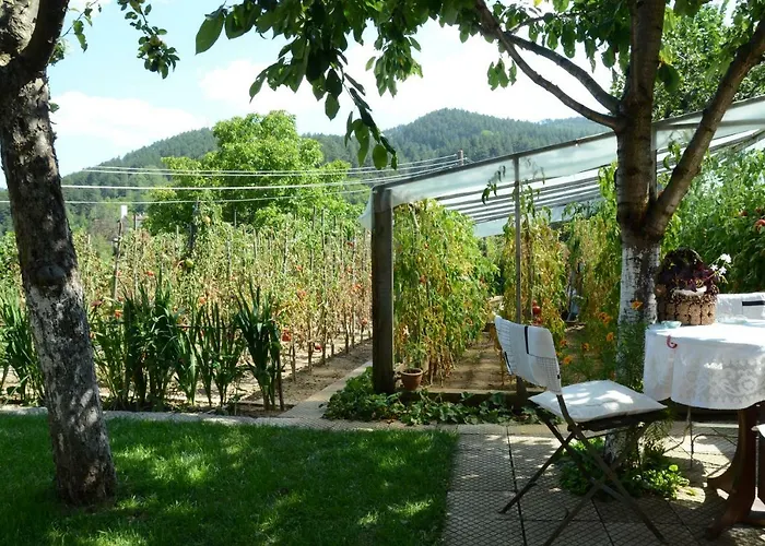 солакови ** Къща за гости