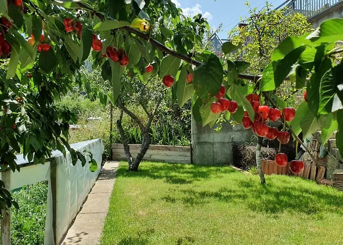 солакови ** Къща за гости
