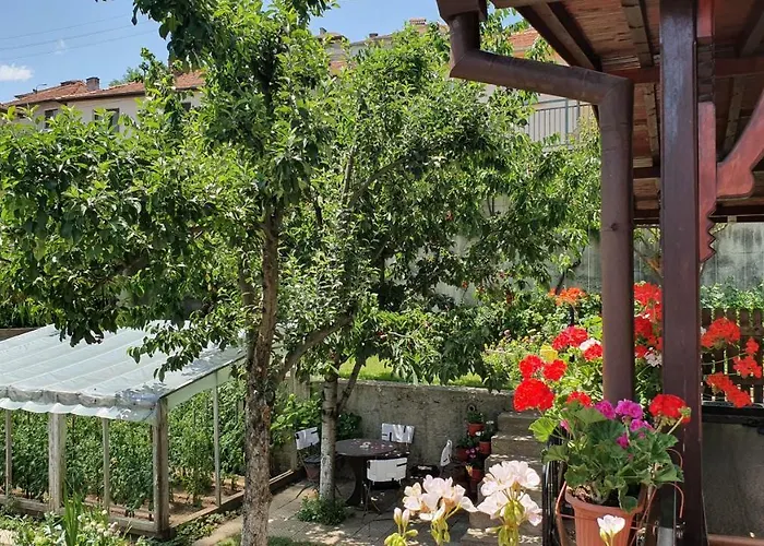 בית הארחה солакови **