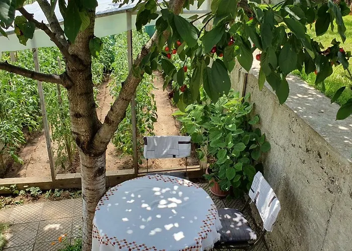 солакови ** Къща за гости 4*